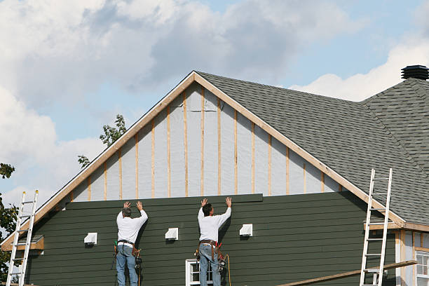 Best Siding Painting and Refinishing  in Tilden, NE